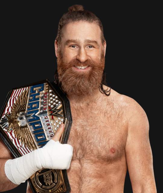 Sami Zayn